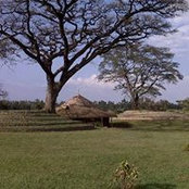 Daniel Mokua's photo