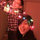 murphy_tang