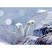 Lidie Braley's photo