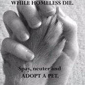 Lori Clements Lesner's photo