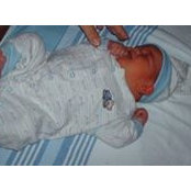 Angela Langille's photo