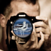 Dan Pancamo's photo