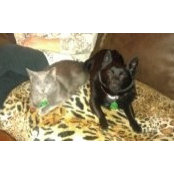 Nancy Hardesty's photo