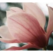 Anna Britt's photo