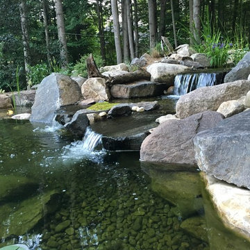 Back yard Oasis