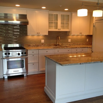Luxury Condo Kitchen Variations