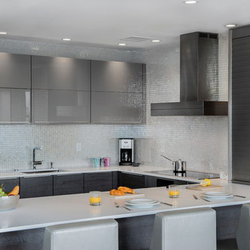 Boston Flagship Warf Contemporary Kitchen