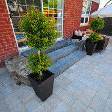Exterior Ideas