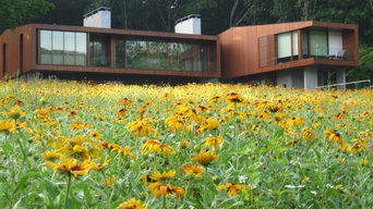 Landscape Field of Flowers in Litchfield County Connecticut