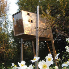 Treehouse
