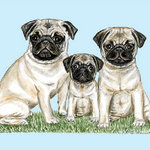 Betsy Drake - Pugs Door Mat 30x50 - These decorative floor mats are made with a synthetic, low pile washable material that will stand up to years of wear. They have a non-slip rubber backing and feature art made by artists Dick Hamilton and Betsy Drake of Betsy Drake Interiors. All of our items are made in the USA. Our small door mats measure 18x26 and our larger mats measure 30x50. Enjoy a colorful design that will last for years to come.