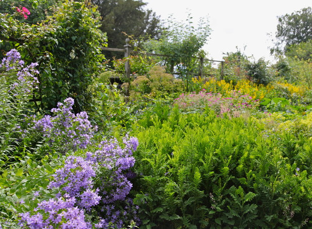 Cottage Border Hill Top