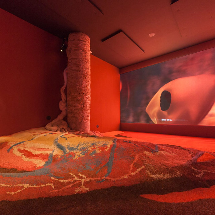 Grotta profunda, biennale de Venise 2017, installation de Pauline Curnier Jardin, scénographie : Rachel Garcia. Matières à penser