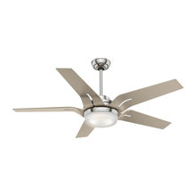 ceiling fans