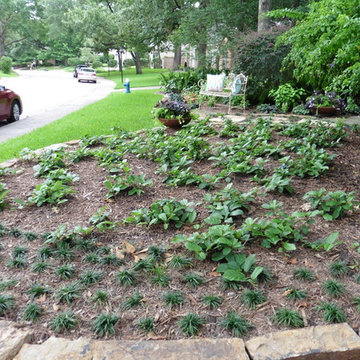 Front Yard Bautification Project July 2016