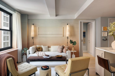 Living room - contemporary living room idea in New York