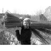Jono Neiger's photo