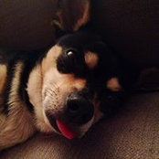 Jim Akimoto's photo