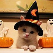 Kathy Isler's photo