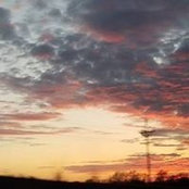 Lydia Adams's photo