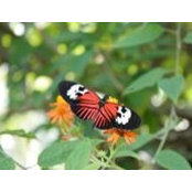 Donna Witkowski's photo