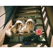 Elizabeth Pomeroy's photo