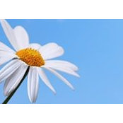Rima Blanc's photo