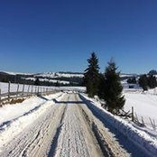Claudiu Truta's photo