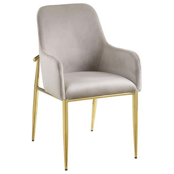 ACME Barnard Velvet Upholstery Side Chair in Gray and Mirrored Gold (Set of 2)