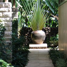 Vista Yard