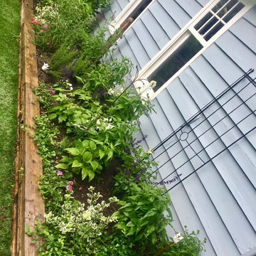 Garden Design and Maintenance