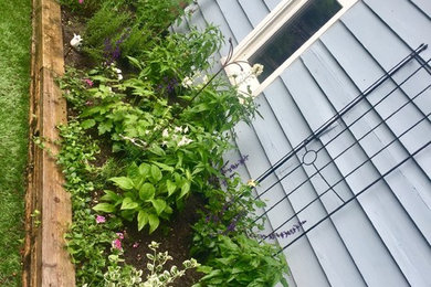 Inspiration for a mid-sized drought-tolerant backyard landscaping in Toronto.