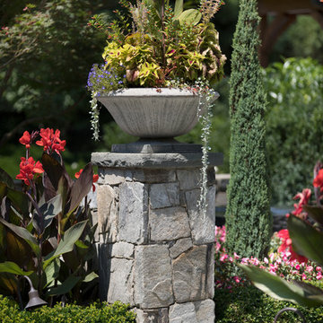 Vibrant Surroundings