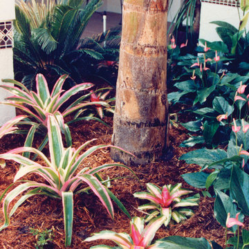 Boca Raton Entry Landscape
