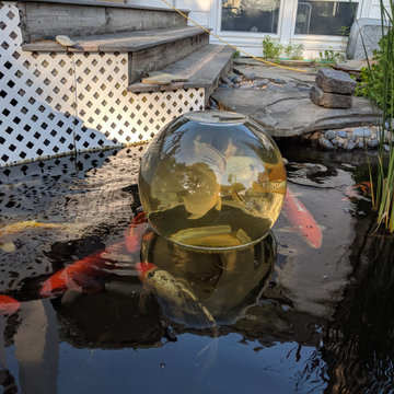 Koi Ponds