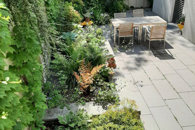 Industrial Patio hinter dem Haus mit Pflanzwand in Frankfurt am Main