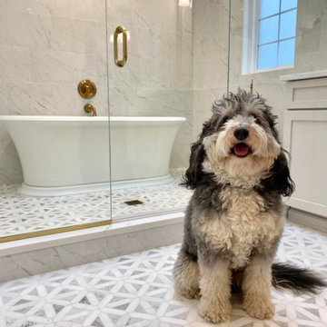 Master Bath & Wet Room in Lake Forest