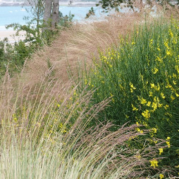 Jardin de Bord de Mer 2