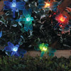 Solar Color Changing Light String, 20Pc Set, Dragonfly