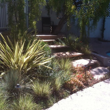 mixed planting of grasses, phormium etc...