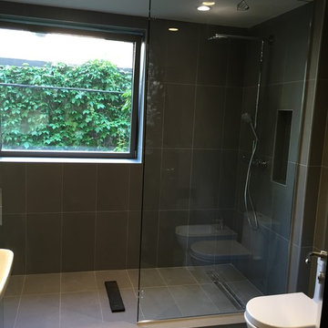 Elegant walk in shower