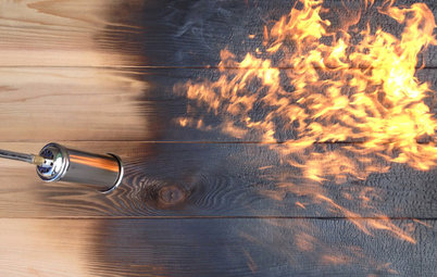 Focus Matière : Le bois brûlé ou la force primaire du feu