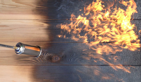 Focus Matière : Le bois brûlé ou la force primaire du feu