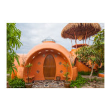 Thailand mango home.