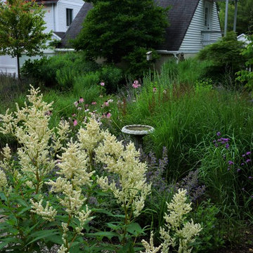 Valley Forge Garden
