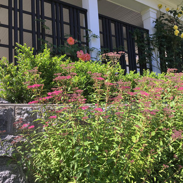 Delbrook Garden