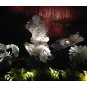 Toby Molins's photo