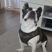 Almuth Battermann's photo