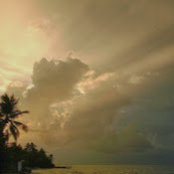 harminder saran-wyborn's photo