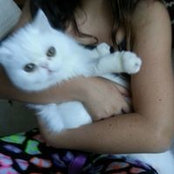 Lori Belenzon-Anderson's photo